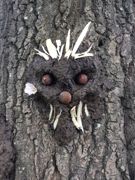 Treesprite